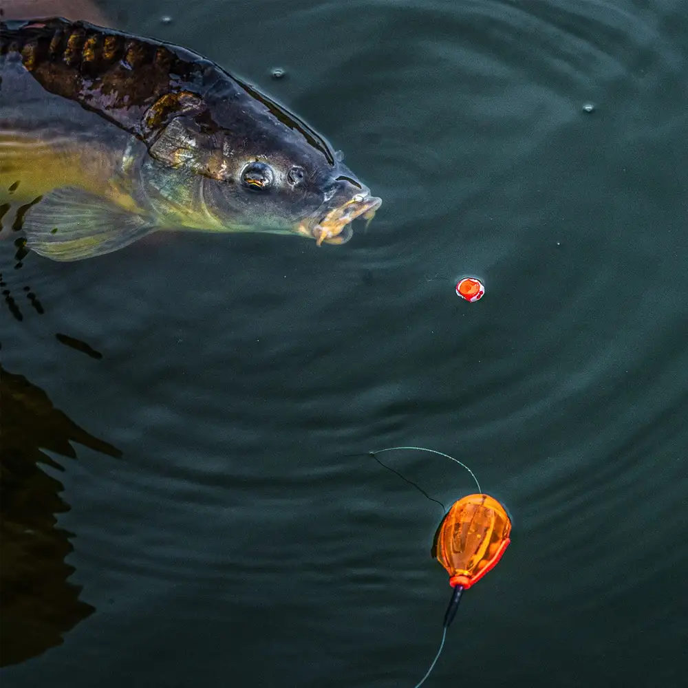 Korum Surface Bombs, Oberflächenpose 6 Korum Surface Bombs, Oberflächenpose – Bild 4